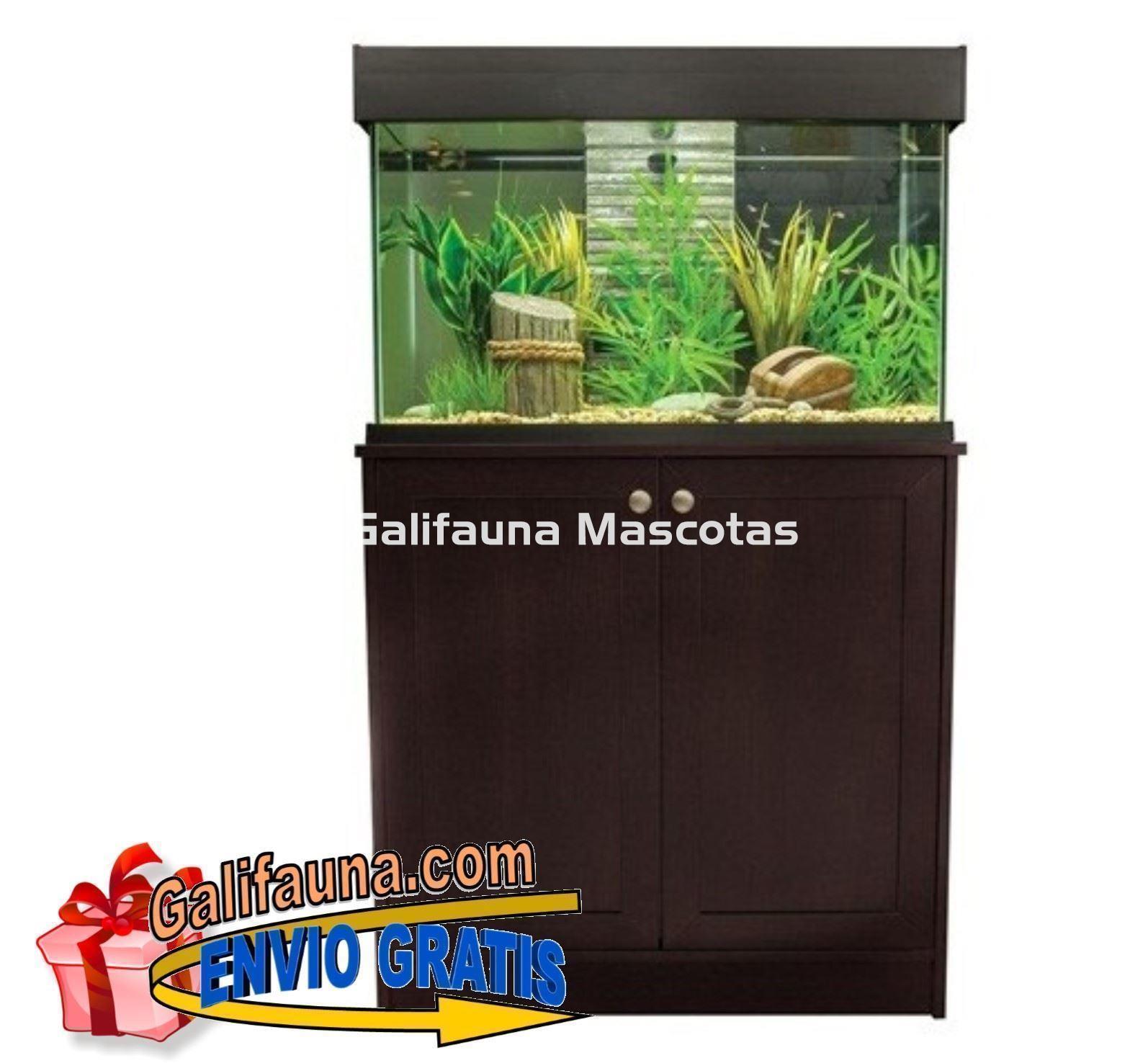 KIT ACUARIO + MESA FLUVAL ACCENT 95 LITROS - Imagen 1