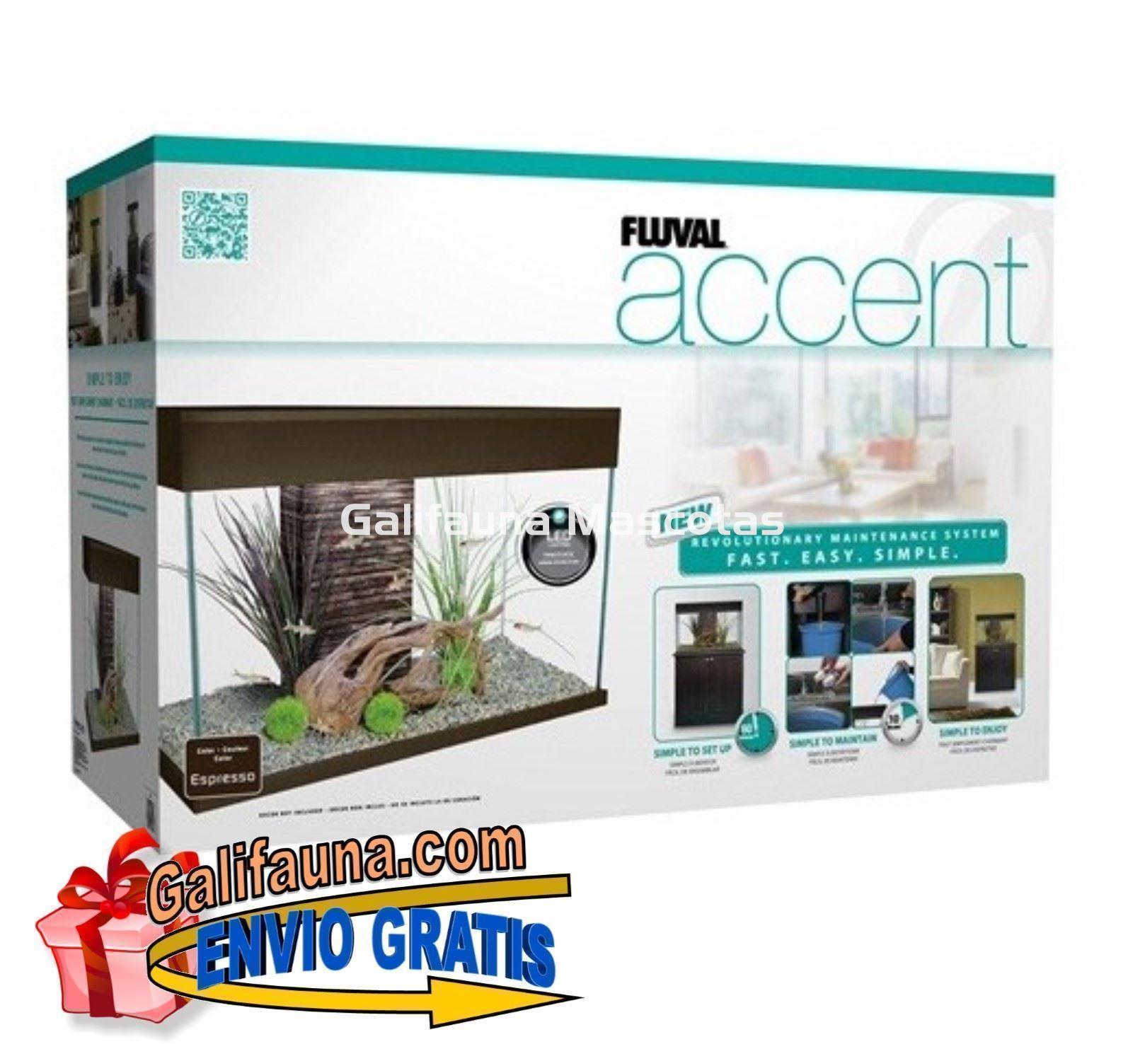 KIT ACUARIO + MESA FLUVAL ACCENT 95 LITROS - Imagen 2