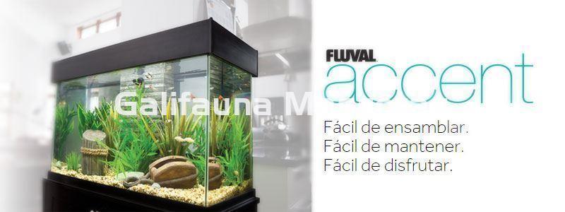 KIT ACUARIO + MESA FLUVAL ACCENT 95 LITROS - Imagen 3