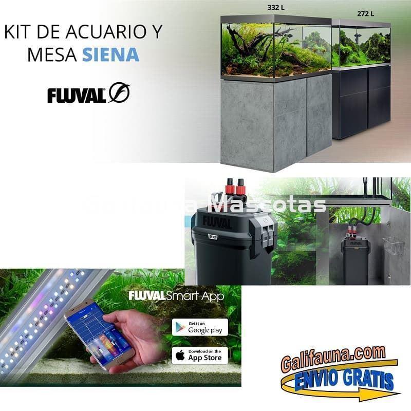 KIT ACUARIO + MESA FLUVAL SIENA 272L LITROS. - Imagen 2