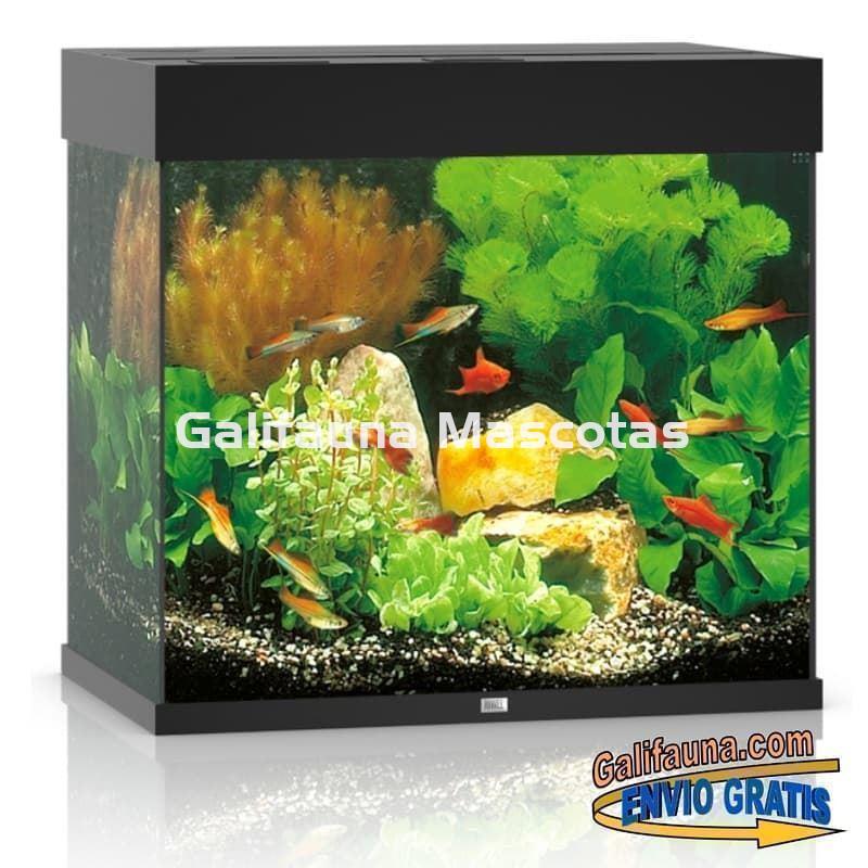 Kit Acuario + Mesa Juwel LIDO 120 litros. - Imagen 7