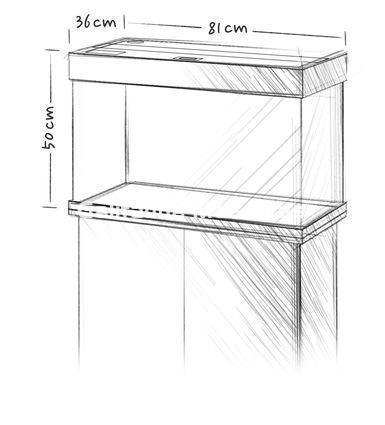 Kit Acuario + Mesa Juwel Rio 125 litros. - Imagen 5