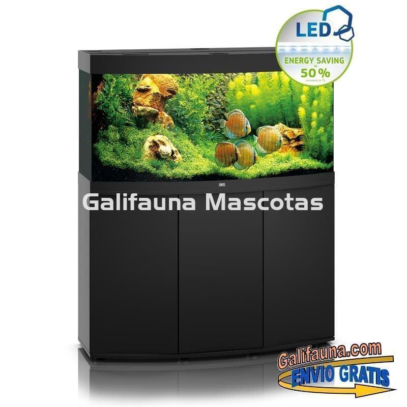 Kit Acuario + Mesa Juwel VISION 260 litros. Acuario con cristal frontal curvo. - Imagen 1