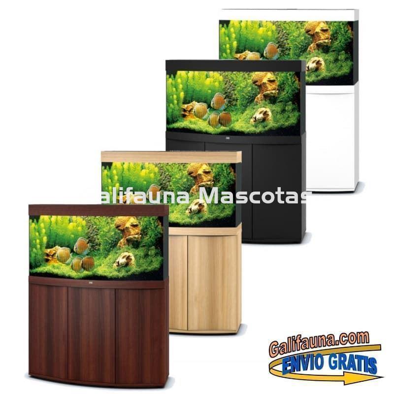 Kit Acuario + Mesa Juwel VISION 260 litros. Acuario con cristal frontal curvo. - Imagen 2