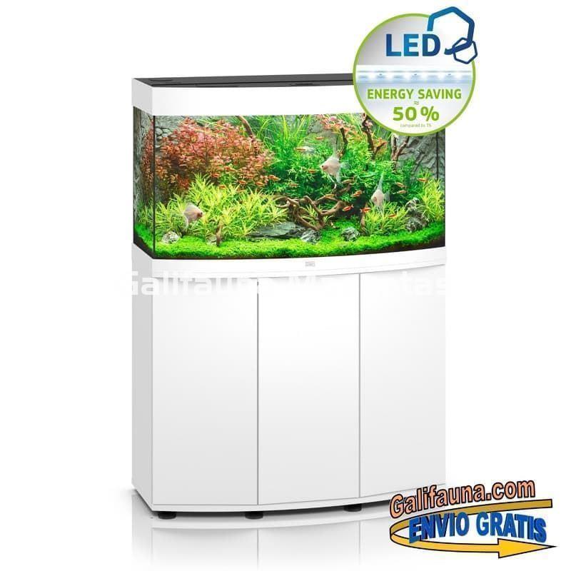 Kit Acuario + Mesa Juwel VISION 260 litros. Acuario con cristal frontal curvo. - Imagen 3