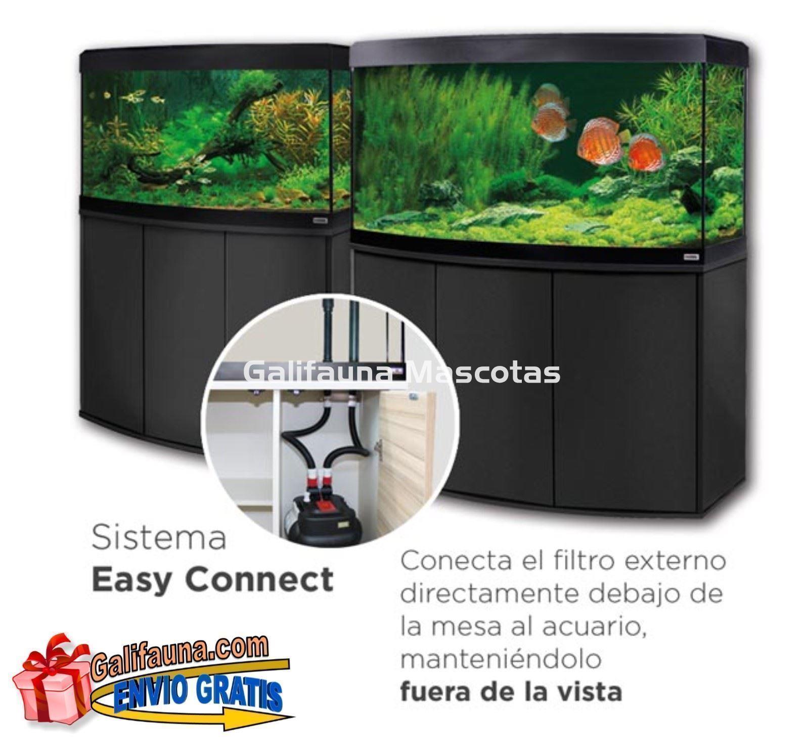 Kit acuario + mesa VICENZA 180 litros con frontal curvo. "Una ventana al mundo submarino". - Imagen 2