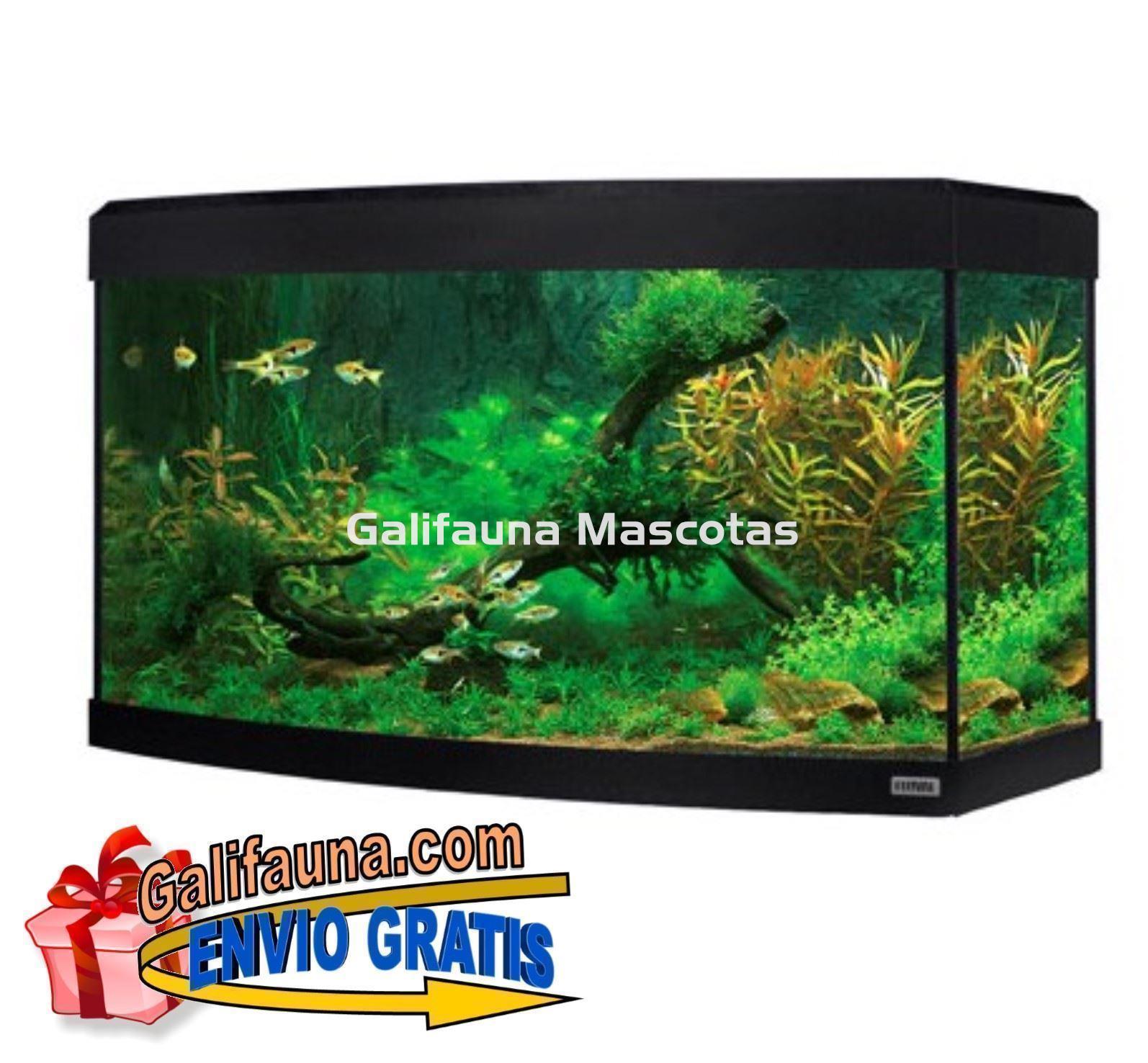 Kit acuario + mesa VICENZA 180 litros con frontal curvo. "Una ventana al mundo submarino". - Imagen 3