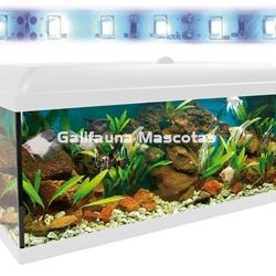 KIT AQUALED 100 L. + MESA AQUA STAND - Imagen 2