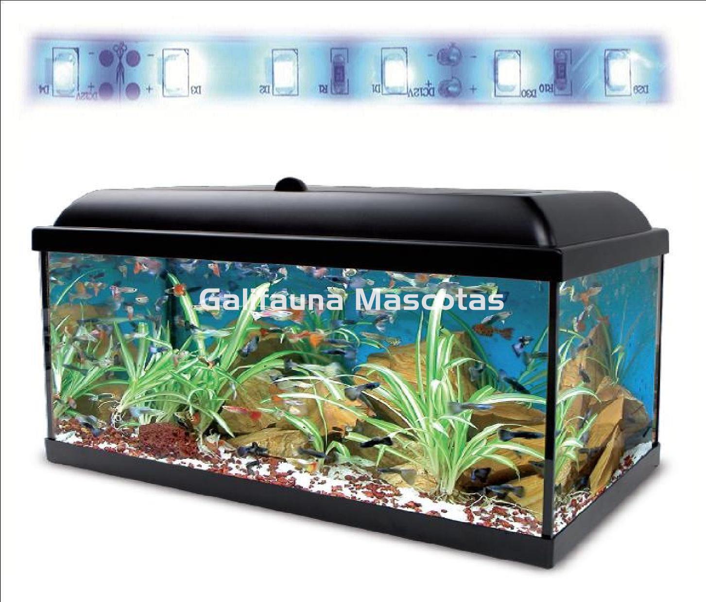 KIT AQUALED + MESA 130 L. + DOBLE REGALO. - Imagen 4