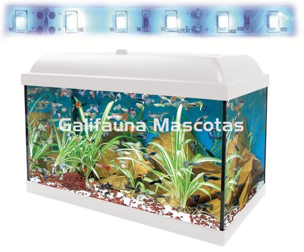 KIT AQUALED + MESA 45 L. + DOBLE REGALO. - Imagen 3