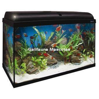 kit AquaLight 120 litros. Acuario 80 x 35 x 48,2. Todo incluido. - Imagen 1