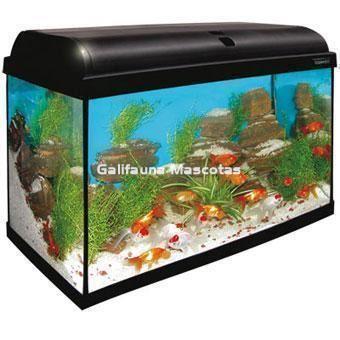 Kit Aqualight 68 litros. Acuario de agua caliente. - Imagen 1