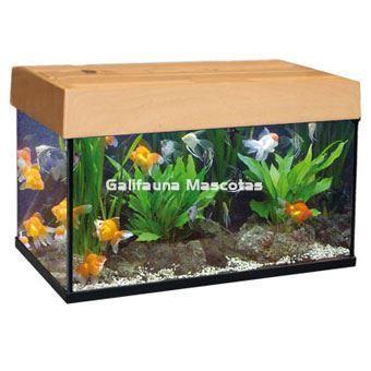 Kit completo AA Acuario Orient 140 litros. - Imagen 1