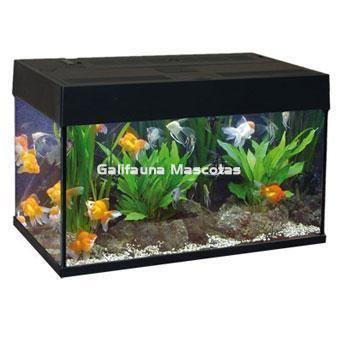 Kit completo AA Acuario Orient 140 litros. - Imagen 2