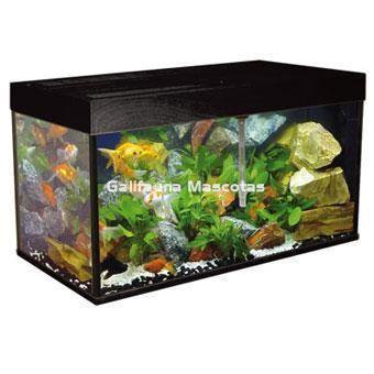 Kit completo AA Acuario Orient 220 litros. - Imagen 2