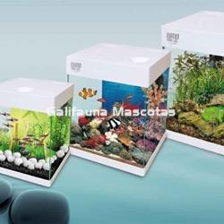 Kit Nano Aqualed Crystal + Mesa de 10, 20 o 30 litros. - Imagen 2