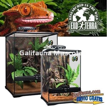 KIT Terrario  GECKO CRESTADO. Habitat para reptiles como Geckos y similares. - Imagen 1