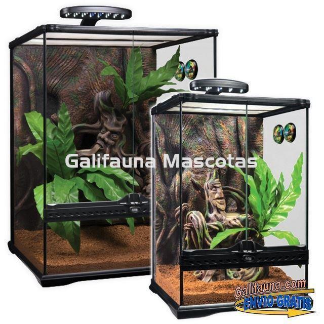 KIT Terrario GECKO CRESTADO. Habitat para reptiles como Geckos y similares. - Imagen 2