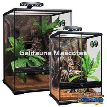 KIT Terrario  GECKO CRESTADO. Habitat para reptiles como Geckos y similares. - Imagen 2