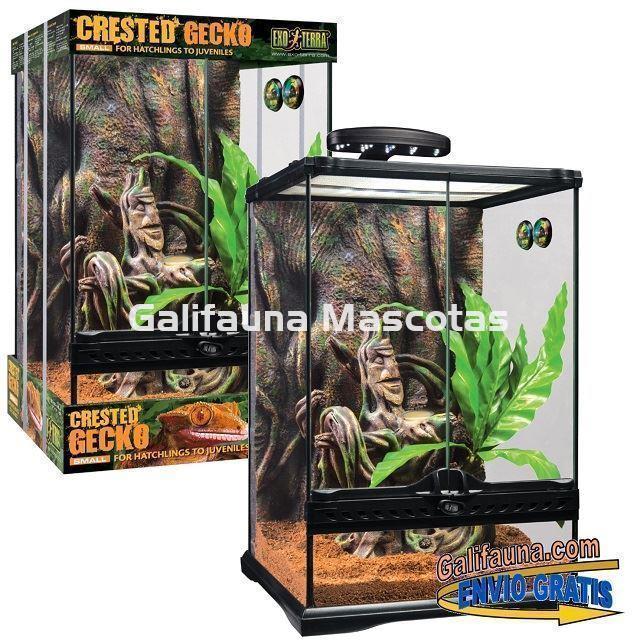 KIT Terrario  GECKO CRESTADO. Habitat para reptiles como Geckos y similares. - Imagen 3
