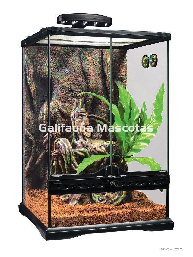 KIT Terrario GECKO CRESTADO. Habitat para reptiles como Geckos y similares. - Imagen 4