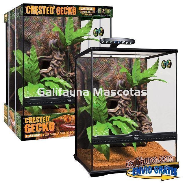 KIT Terrario GECKO CRESTADO. Habitat para reptiles como Geckos y similares. - Imagen 5