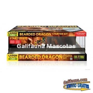 KIT Terrario POGONA. Habitat diseñado para reptiles similares a la Pogona. - Imagen 2