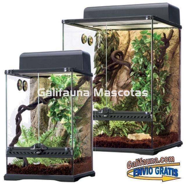 KIT Terrario TROPICAL. Habitat SELVA para reptiles. - Imagen 2