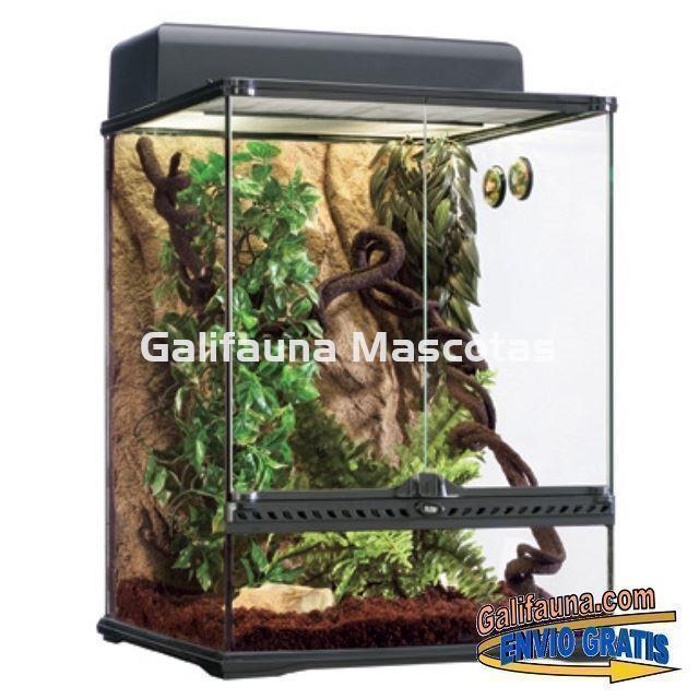 KIT Terrario TROPICAL. Habitat SELVA para reptiles.