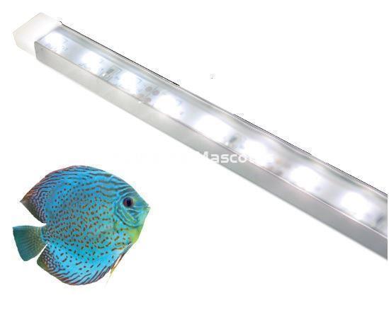 Kit tira de led Blanca en carcasa de aluminio ICA. - Imagen 1