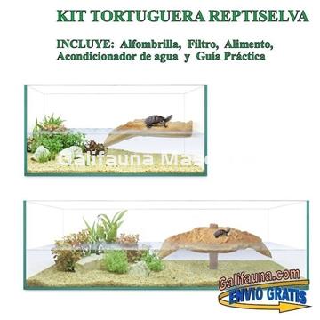 Kit Tortuguera de Cristal. Modelo Isla. Varias medidas. - Imagen 1
