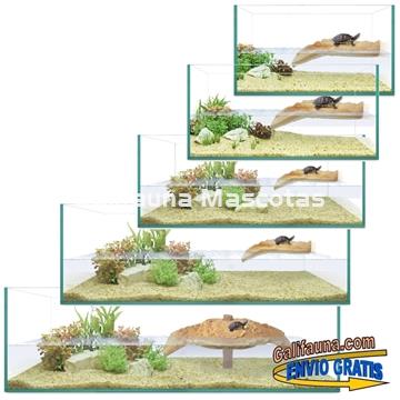 Kit Tortuguera de Cristal. Modelo Isla. Varias medidas. - Imagen 2