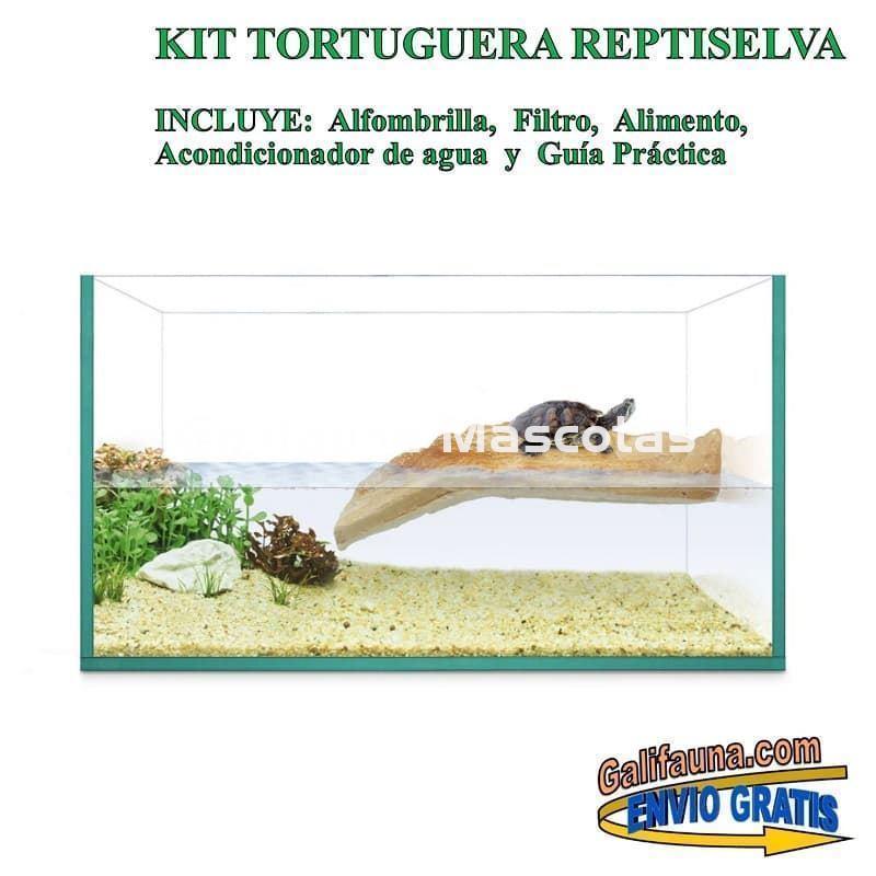 Kit Tortuguera de Cristal. Modelo Isla. Varias medidas. - Imagen 3