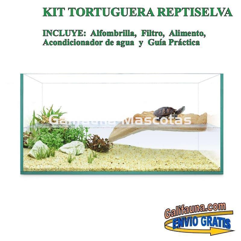 Kit Tortuguera de Cristal. Modelo Isla. Varias medidas. - Imagen 4