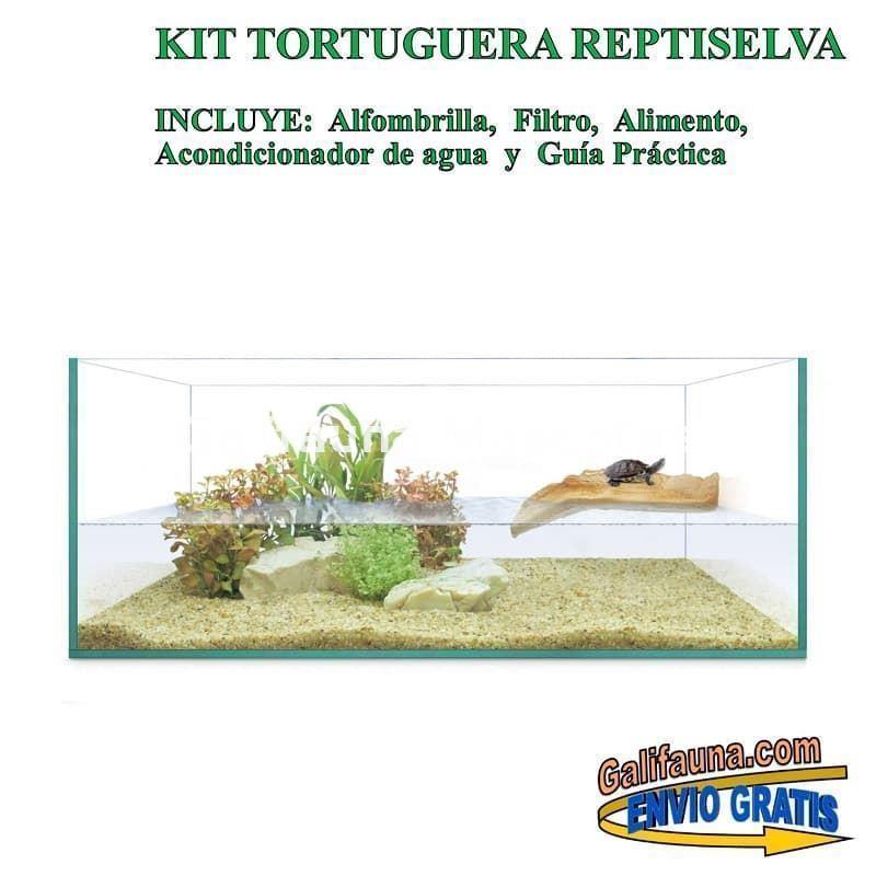 Kit Tortuguera de Cristal. Modelo Isla. Varias medidas. - Imagen 5