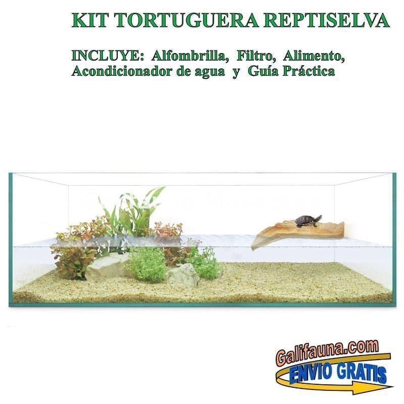 Kit Tortuguera de Cristal. Modelo Isla. Varias medidas. - Imagen 6