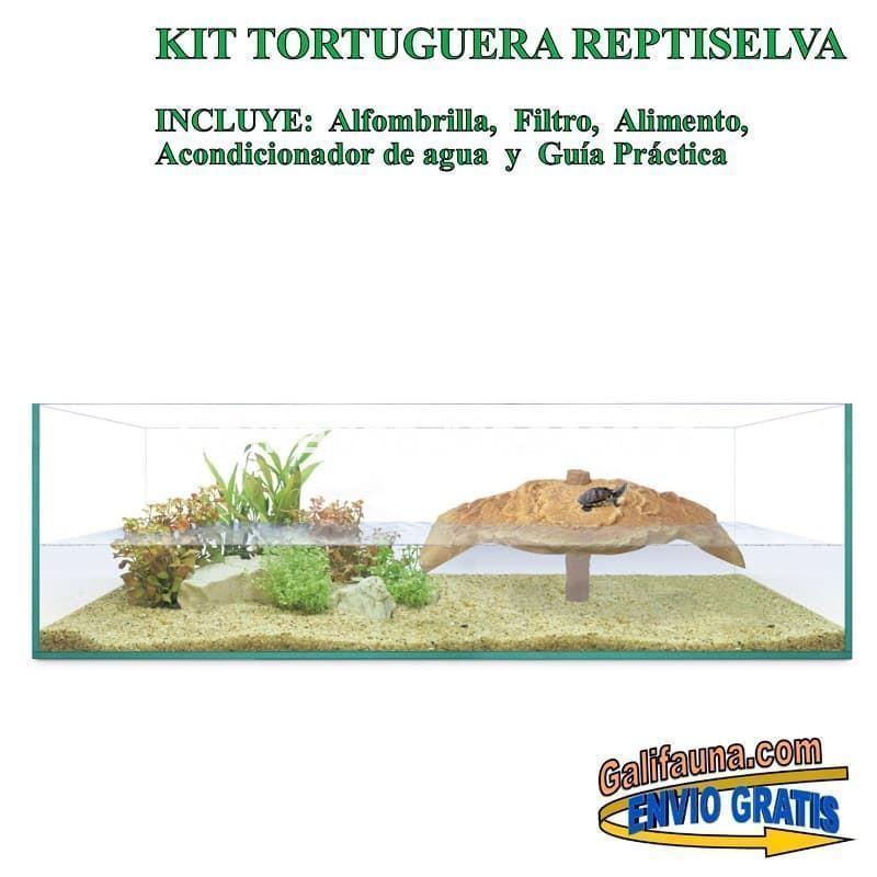 Kit Tortuguera de Cristal. Modelo Isla. Varias medidas. - Imagen 7