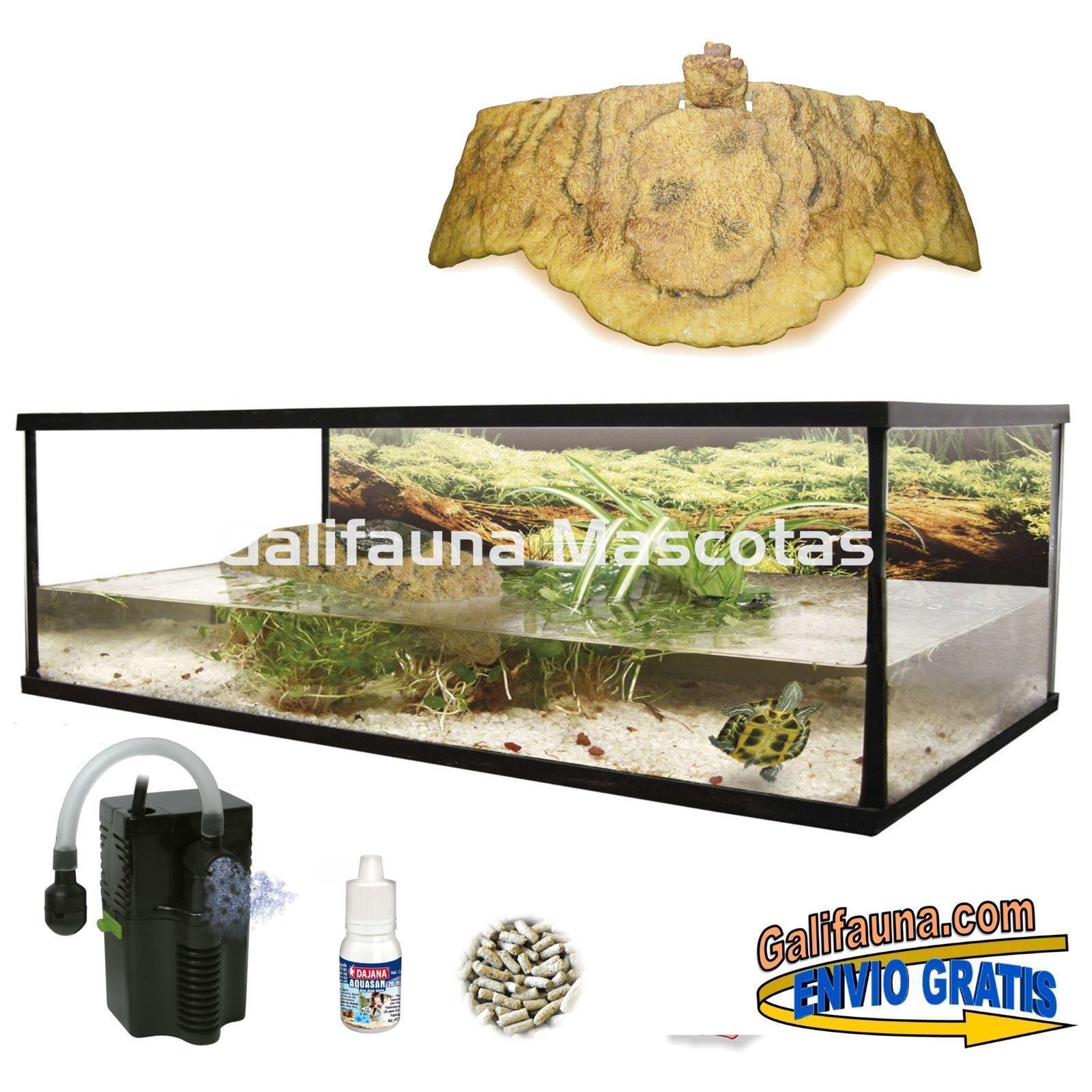 Kit Tortuguera gigante "gran isla flotante"  80 y 100 Cm. - Imagen 1