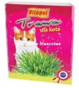 Maceta de hierva para gato. Favorece su digestión. - Imagen 1