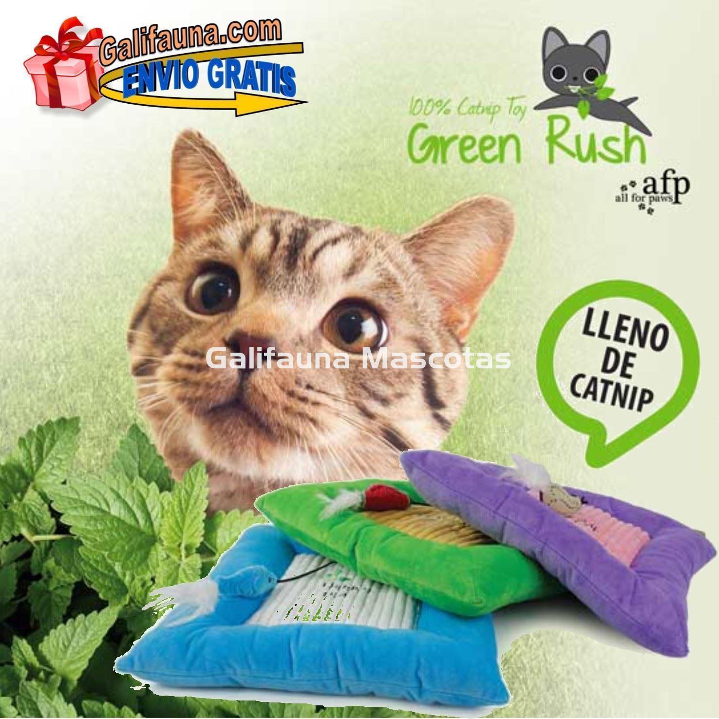 Manta cojín GREEN RUSH CATNIP especial gato de All for Paws CATIT - Imagen 1