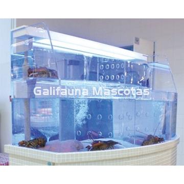 Marisqueros de metacrilato. - Imagen 2