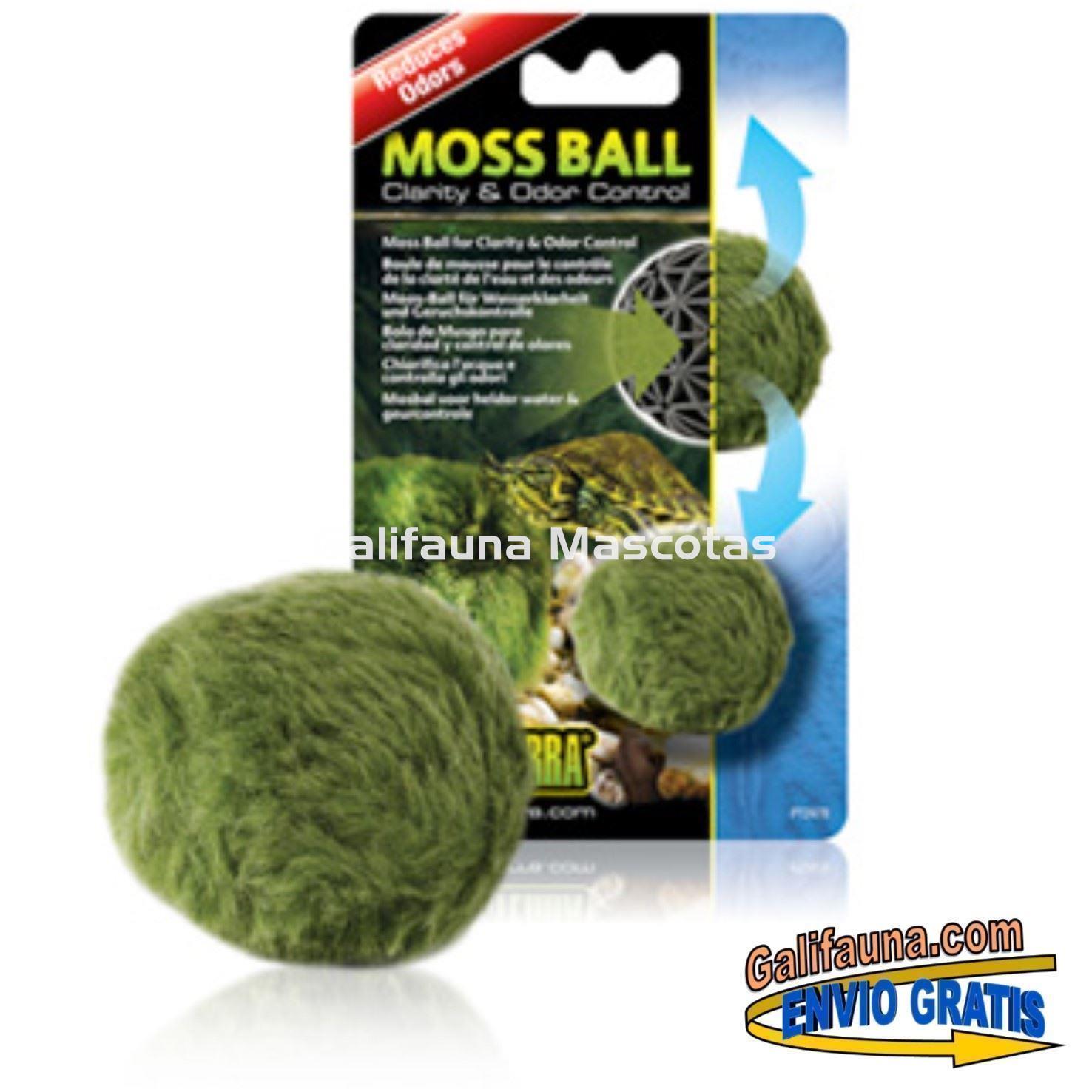 MOSS BALL EXO TERRA. Bola decorativa filtradora y desodorizante. - Imagen 2