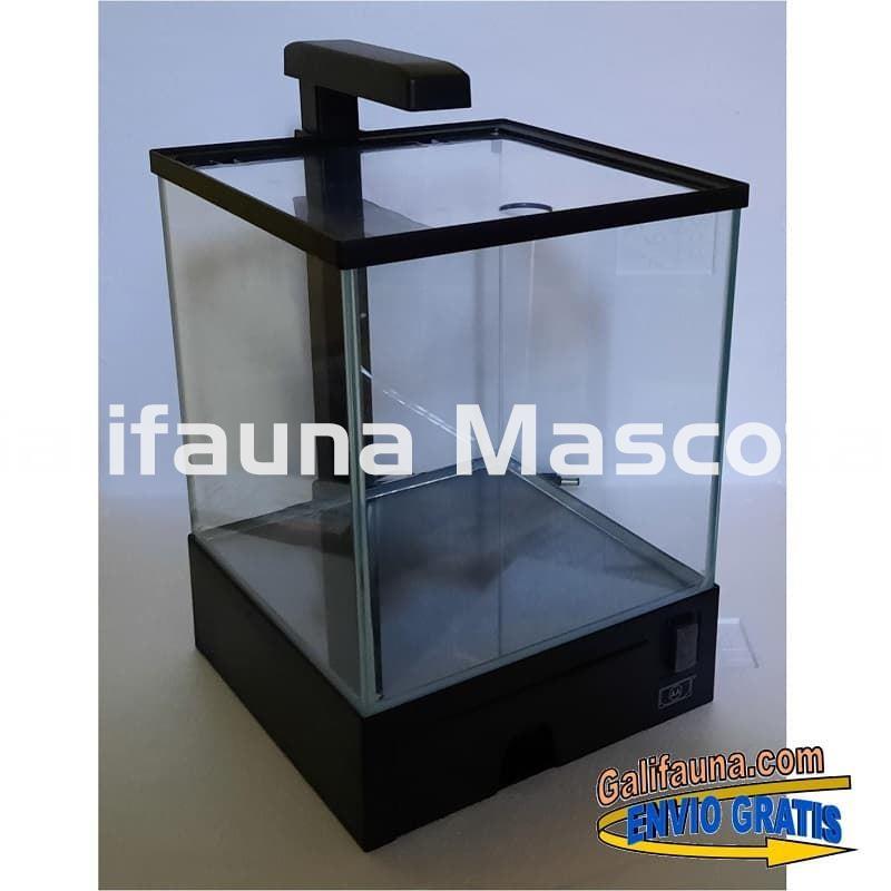 Nano acuario Aqua Box 5.5 litros. Iluminación y filtro incluidos. - Imagen 1