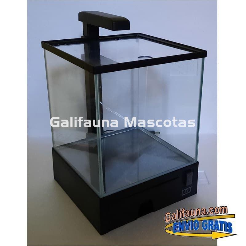 Nano acuario Aqua Box  5.5 litros. Iluminación y filtro incluidos. - Imagen 1