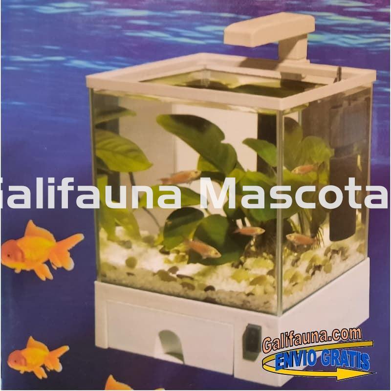 Nano acuario Aqua Box 5.5 litros. Iluminación y filtro incluidos. - Imagen 2