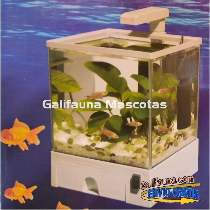 Nano acuario Aqua Box  5.5 litros. Iluminación y filtro incluidos. - Imagen 2
