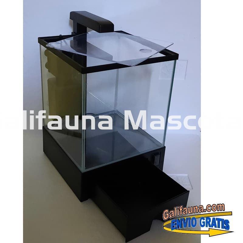 Nano acuario Aqua Box 5.5 litros. Iluminación y filtro incluidos. - Imagen 3