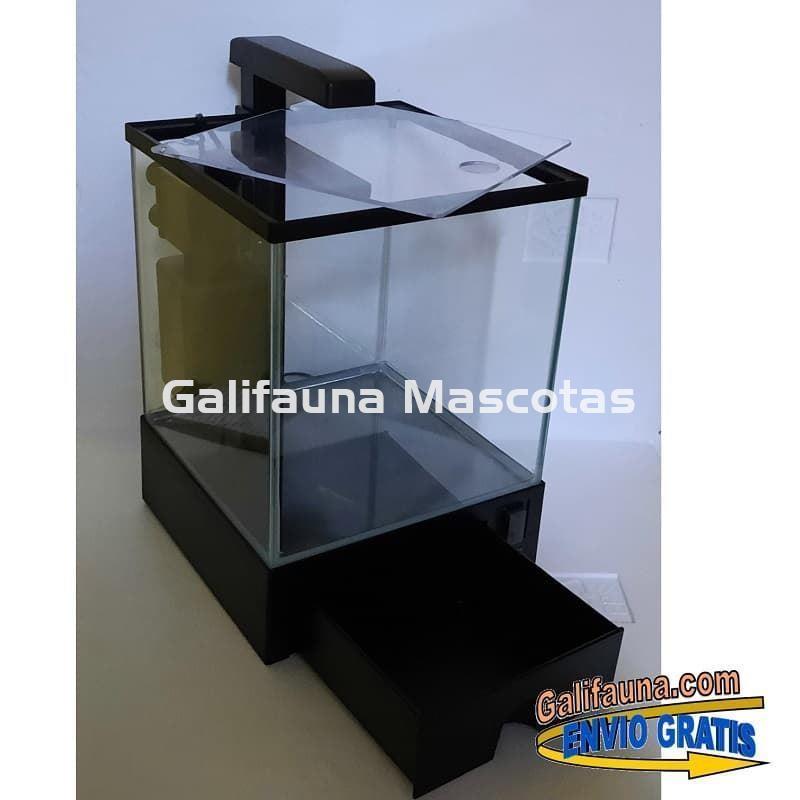 Nano acuario Aqua Box  5.5 litros. Iluminación y filtro incluidos. - Imagen 3