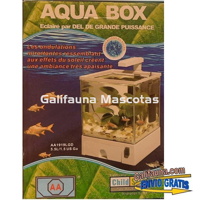 Nano acuario Aqua Box 5.5 litros. Iluminación y filtro incluidos. - Imagen 4