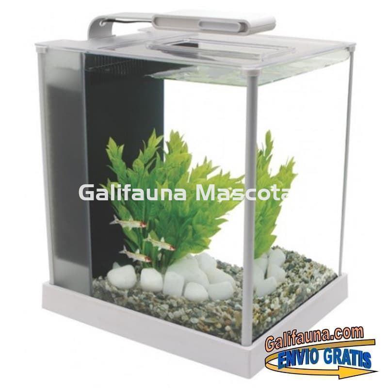 NANO ACUARIO FLUVAL SPEC 10 litros. Elegancia y diseño en un práctico acuario. - Imagen 1